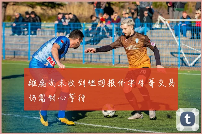 雄鹿尚未收到理想报价字母哥交易仍需耐心等待
