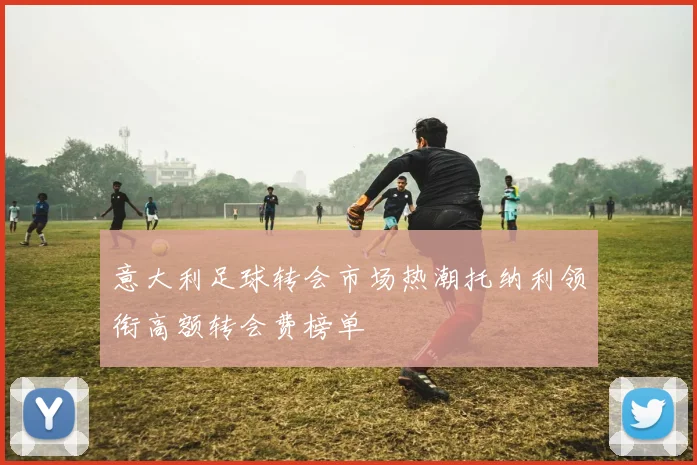 意大利足球转会市场热潮托纳利领衔高额转会费榜单